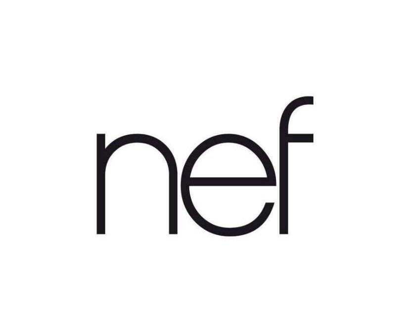 NEF, NOUVEAU SPONSOR DES DOGUES !!!!